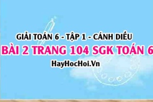 Giải bài 2 trang 104 Toán 6 Tập 1 SGK Cánh Diều